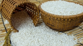 Giá lúa gạo hôm nay 15/7: Giá lúa gạo tăng nhẹ