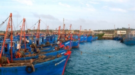 Kiên Giang: Tập trung chống khai thác hải sản bất hợp pháp