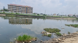 Cần Thơ: Hồ Bún Xáng có nguy cơ ô nhiễm môi trường nghiêm trọng