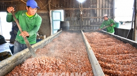 Kiên Giang: Sản phẩm OCOP gập ghềnh đường vào siêu thị