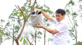 Hậu Giang tổ chức Lễ phát động trồng cây hưởng ứng giải Marathon quốc tế “Vietcombank Mekong Delta”