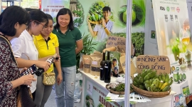 USAID đồng hành cùng Doanh nghiệp nông nghiệp ĐBSCL tại Hội chợ nông nghiệp Quốc tế Việt Nam 2023