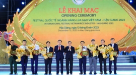 Festival quốc tế ngành hàng lúa gạo Việt Nam - Hậu Giang 2023: Hành trình trăm năm lúa gạo Việt