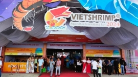 Cà Mau: Khai mạc Hội chợ Triển lãm Quốc tế Công nghệ ngành tôm Việt Nam 2024