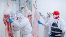 Thu nhập hơn 1 tỷ đồng với nghề pha lóc thịt tại Úc