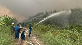 Cà Mau: Đã khống chế được cháy rừng Nông trường 402