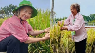 Nữ Phó Giáo sư được mệnh danh 'bà chúa lúa lai': Là học trò của cố Giáo sư Lương Định Của, nhận danh hiệu Anh hùng Lao động