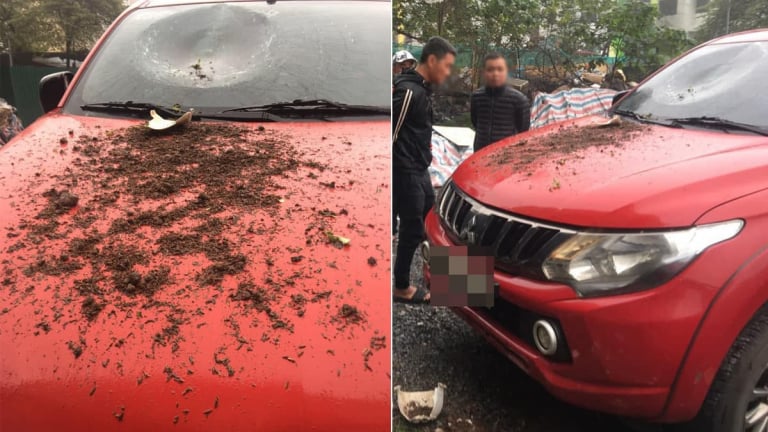 Lười mang đi vứt, một người sống ở tầng cao chung cư ném chậu hoa chơi Tết trúng đầu ô tô phía dưới