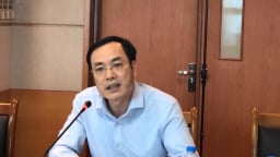 'Cung cầu là yếu tố quyết định giá cả thị trường thịt lợn'