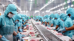 Phê duyệt Danh sách 315 'Doanh nghiệp xuất khẩu uy tín' năm 2020