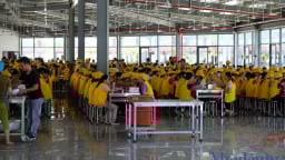 Nghệ An yêu cầu đẩy nhanh hỗ trợ doanh nghiệp và người lao động gặp khó do đại dịch