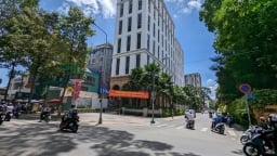 Hé mở tiềm lực của TBS Group