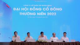 CEO Gelex: 'Chúng tôi mua cổ phần DNNN đúng quy định'