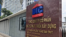 Nhìn lại đường tư nhân hóa DIC Corp