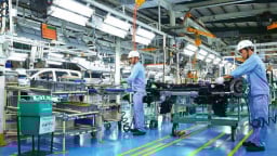 Tiến hành Tổng điều tra doanh nghiệp năm 2023