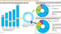 Thị trường tài chính tiêu dùng Việt Nam: Cơ hội và thách thức