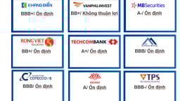 FiinRatings: Xếp hạng tín nhiệm Techcombank mức A+ với triển vọng 'ổn định'