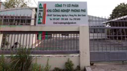 Chuyển động mới ở Khu công nghiệp Phong Phú