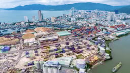 Cảng Quy Nhơn chào sàn HoSE sau 7 năm