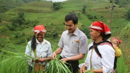 Cổ phiếu Lộc Trời bị bán mạnh sau thông tin hạn chế giao dịch 