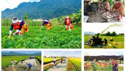 Triển khai Nghị quyết của Quốc hội về cơ chế đặc thù thực hiện các chương trình mục tiêu quốc gia