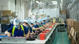 Doanh nghiệp bao bì loay hoay trước áp lực cạnh tranh