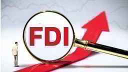 Bất chấp bất ổn, dòng vốn FDI vào Việt Nam 'rất tích cực'
