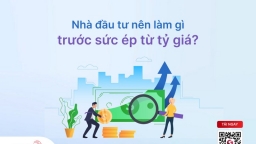 Nhà đầu tư nên làm gì trước sức ép từ tỷ giá?