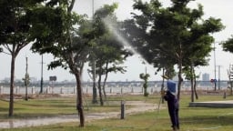 Từ vụ cây xanh Công Minh, Bộ Công an yêu cầu Phú Yên cung cấp tài liệu 30 dự án
