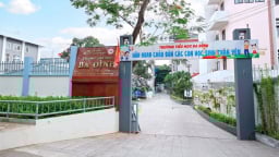 Việt Vương - nhà thầu 'thân quen' tại các gói thầu trên địa bàn quận Ba Đình, Hà Nội