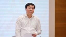 Thứ trưởng Trương Hải Long: Mức tăng lương mới sẽ được chi trả ngay trong kỳ lương tháng 7