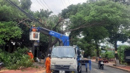 PC Phú Yên: Tăng cường giám sát hành lang an toàn lưới điện 