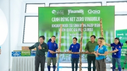 Doanh nghiệp nỗ lực phát triển bể hấp thụ carbon, hướng đến mục tiêu Net Zero 2050