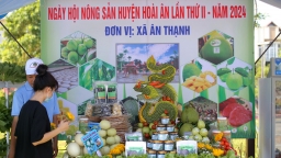 Bình Định tìm nông sản chủ lực, kêu gọi đầu tư vào chế biến 