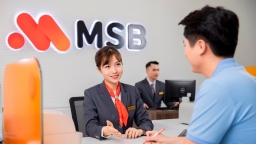 9 cổ đông nắm hơn 33% vốn MSB