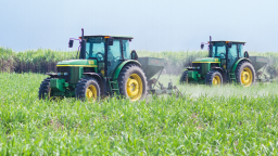 'Miễn nhiễm' thông tin thuế quan, cổ phiếu TTC AgriS vượt đỉnh 3 năm