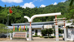 Hai doanh nghiệp ở Bình Định chi gần 200 tỷ trả cổ tức