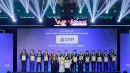 DNP Holding thuộc Top 500 doanh nghiệp lớn nhất Việt Nam 2024