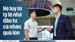 Hệ lụy từ tỷ lệ nhà đầu tư cá nhân quá lớn