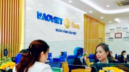 BAOVIET Bank 2024: Tăng trưởng ổn định, đẩy mạnh chuyển đổi số hướng tới phát triển bền vững