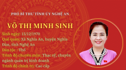 Chân dung tân Phó Bí thư Tỉnh ủy Nghệ An Võ Thị Minh Sinh