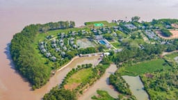 Xem xét trách nhiệm người 'biến' 4,56 ha đất biệt thự nghỉ dưỡng thành đất ở biệt thự tại Cồn Ấu- Cần Thơ