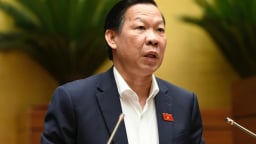 'Cần lộ trình đánh Thuế tiêu thụ đặc biệt để doanh nghiệp thích ứng'