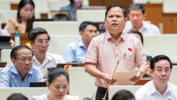 'Cần bỏ thủ tục công bố hợp quy vì gây tốn kém cho doanh nghiệp'