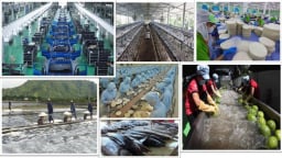 Tổng Bí thư Tô Lâm và tư duy lý luận mới về kinh tế tư nhân
