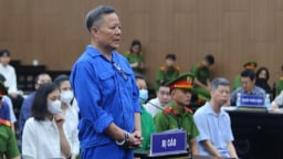 'Ông trùm' đất hiếm Đoàn Văn Huấn bị đề nghị mức án 12-15 năm tù
