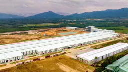 Thiên Hưng Mỹ Thọ 'trúng' 3 dự án cụm công nghiệp tại Bình Định