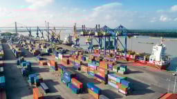 Từ cảng biển đến đô thị logistics quốc tế: Thâm Quyến, Singapore và Hải Phòng