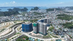 Quảng Ninh phê duyệt 2 dự án nhà ở xã hội hơn 1.500 tỷ tại TP. Hạ Long