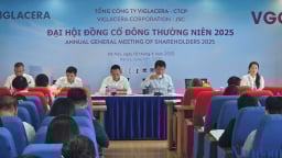Viglacera sẽ tái cấu trúc toàn diện